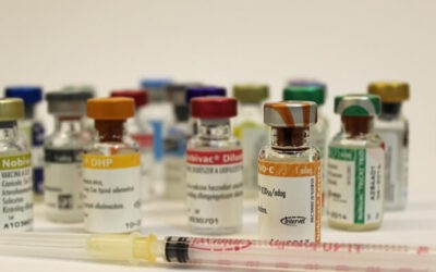 Kisállat védőoltások
